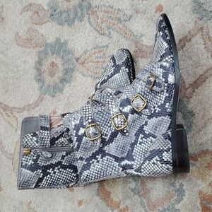 J. Crew multi buckle snake skin moto booties AE921
